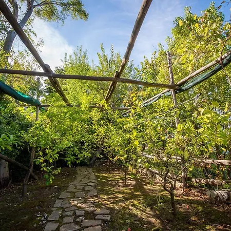 Villa Casa Angelica Sorrento